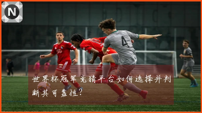 世界杯冠军竞猜平台如何选择并判断其可靠性？