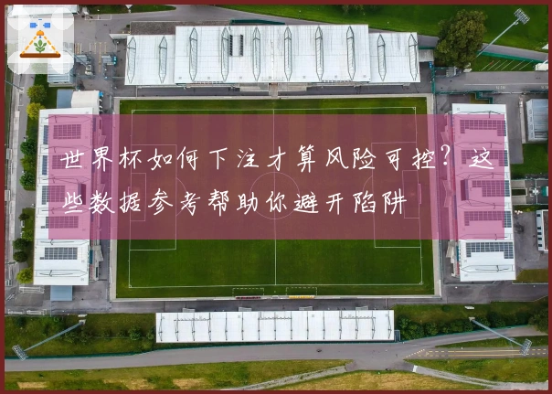 世界杯如何下注才算风险可控？这些数据参考帮助你避开陷阱